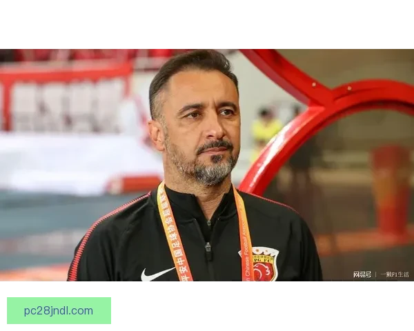 佩雷拉队惜败阿利安萨队精彩对决终以2比3落败